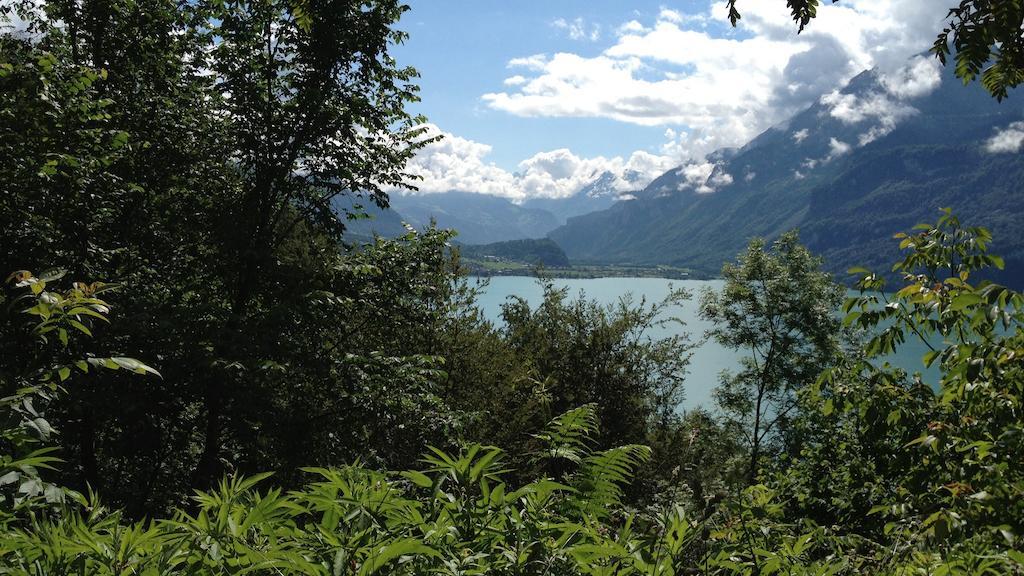 Seeli Hofstetten bei Brienz Habitación foto